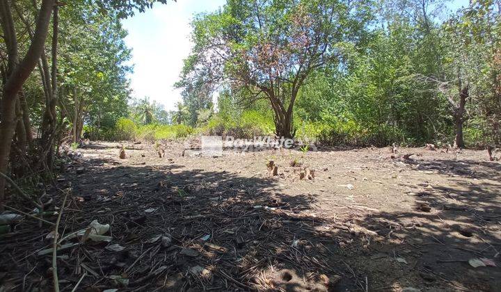 Tanah Murah Strategis Di Gili Trawangan Lombok 1