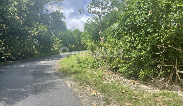 Land For Lease Hold Center Of Bingin, Bali 2