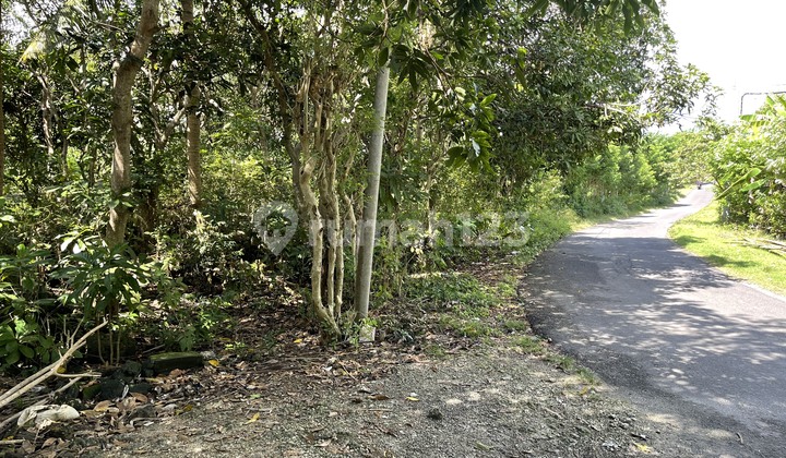 Land For Lease Hold Center Of Bingin, Bali 1