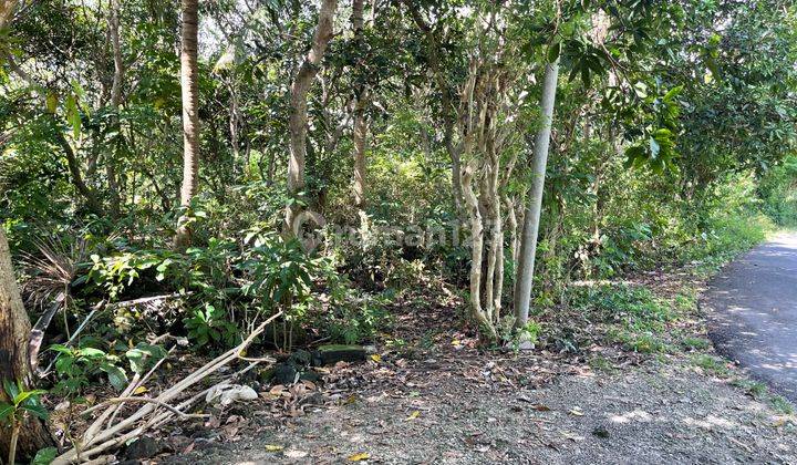 Land For Lease Hold Center Of Bingin, Bali 4