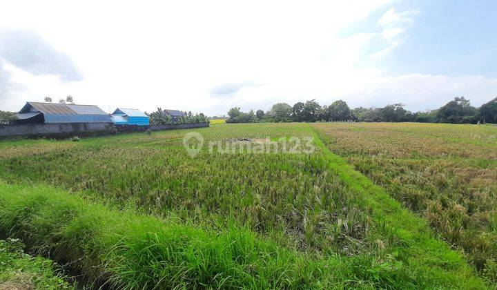 Majestic Land For Lease In Kedungu, Tabanan, Bali 6