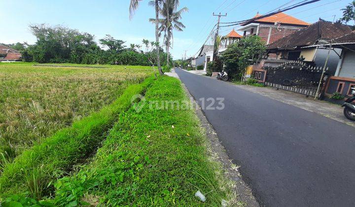 Majestic Land For Lease In Kedungu, Tabanan, Bali 8