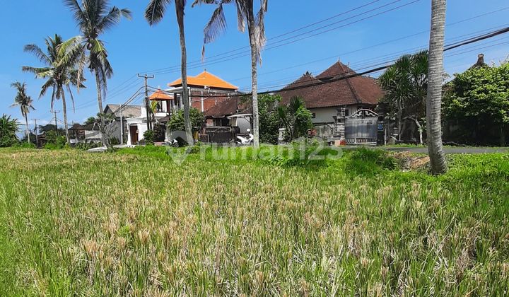 Majestic Land For Lease In Kedungu, Tabanan, Bali 9