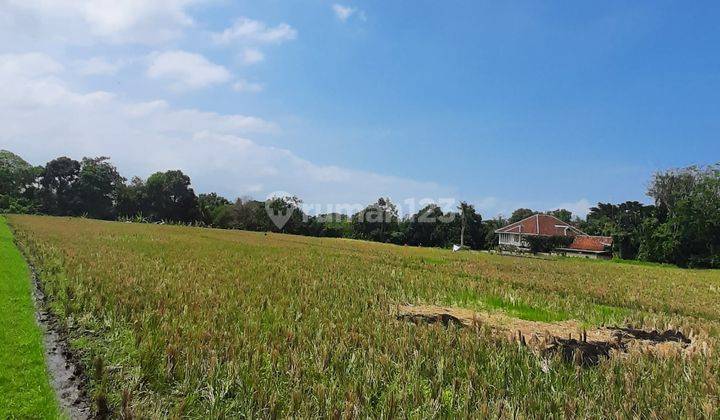 Majestic Land For Lease In Kedungu, Tabanan, Bali 10