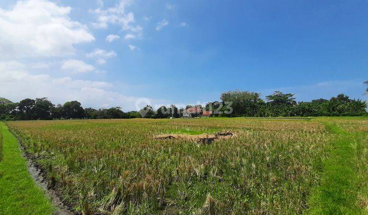 Majestic Land For Lease In Kedungu, Tabanan, Bali 11