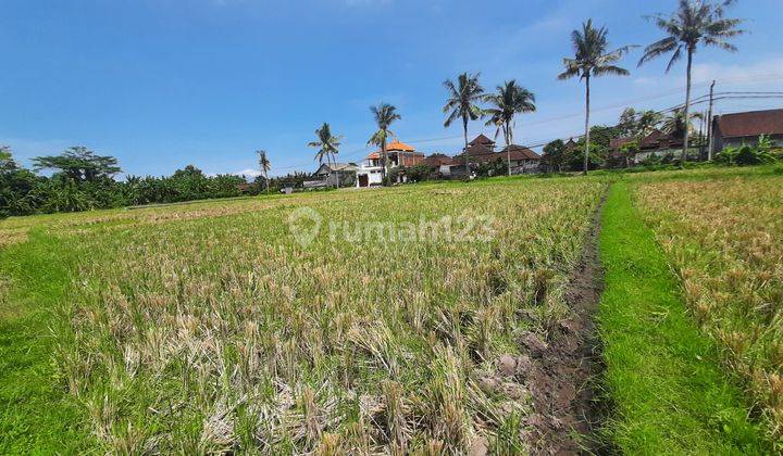 Majestic Land For Lease In Kedungu, Tabanan, Bali 14