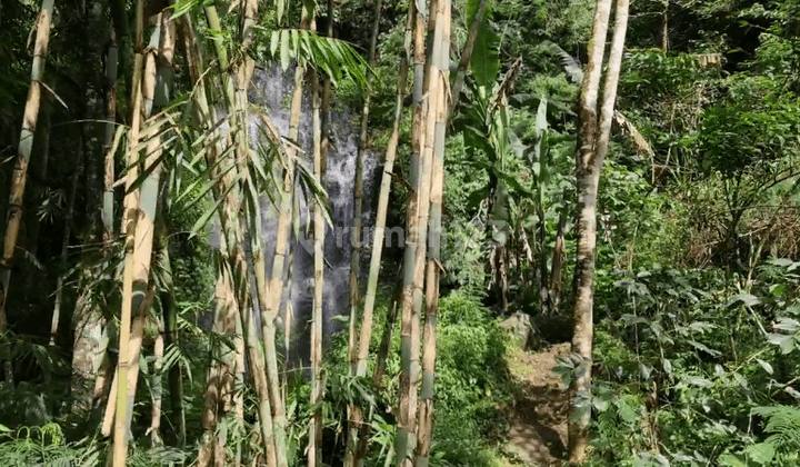 Tanah Dengan Air Terjun Dan Mata Air di Daerah Munduk, Bali 2