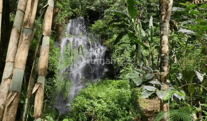 Tanah Dengan Air Terjun Dan Mata Air di Daerah Munduk, Bali 3
