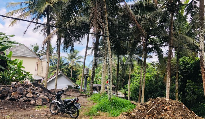 Tanah Lokasi Sangat Tenang Di Samplangan, Gianyar, Bali 9