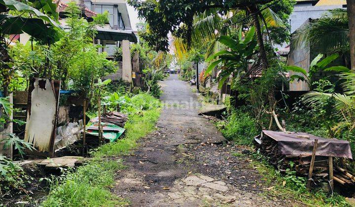 Tanah Lokasi Sangat Tenang Di Samplangan, Gianyar, Bali 10