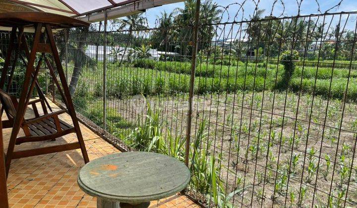 Unique Villa Located In Surfer Paradise In Keramas, Gianyar, Bali 6