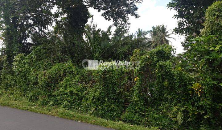 Land in Strategic Location Main Road Payangan Ubud, Bali 1