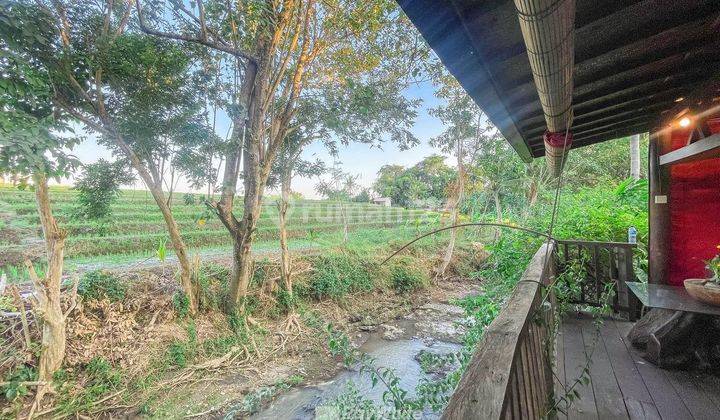 Villa And Land With Rice Field And River View In Pererenan, Bali 17
