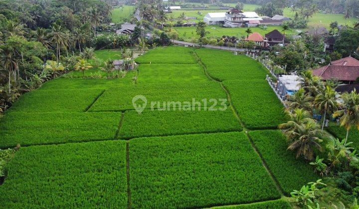 Tanah Di Jalan Raya Tampak Siring Dekat Ke Central Ubud, Bali 1