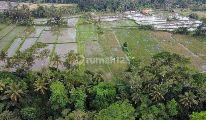 Tanah Di Jalan Raya Tampak Siring Dekat Ke Central Ubud, Bali 2