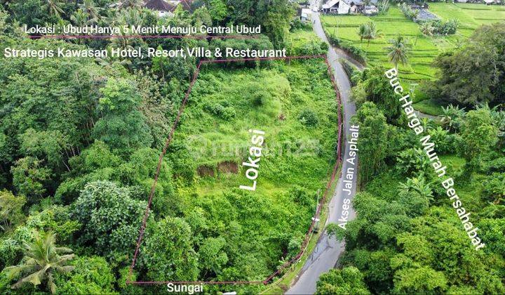 Strategic Land with Beautiful Views in Pejeng Close to Central Ubud, Bali 1