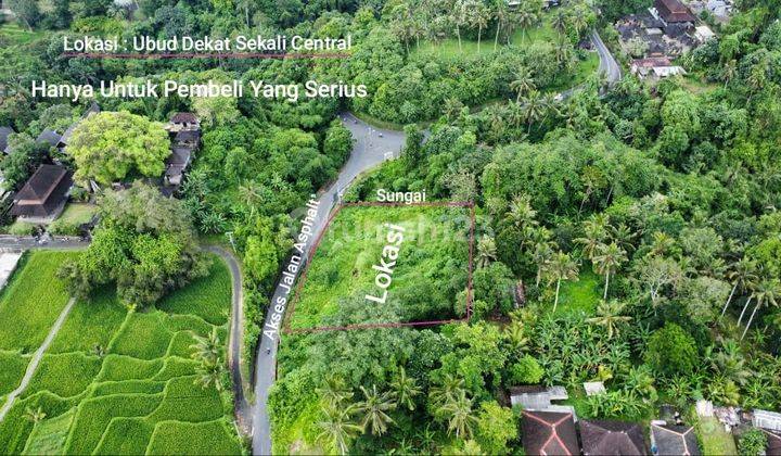 Strategic Land with Beautiful Views in Pejeng Close to Central Ubud, Bali 2