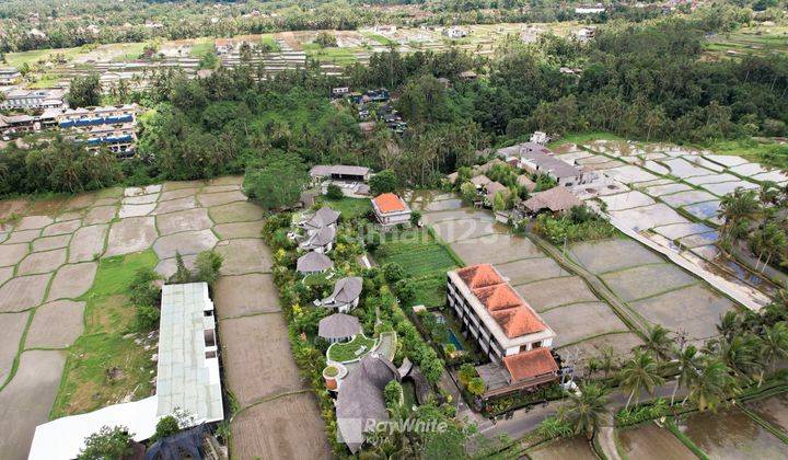 Tanah Kavling Kawasan Villa View Persawahan Di Ubud Gianyar, Bali 1