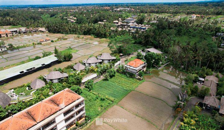 Tanah Kavling Kawasan Villa View Persawahan Di Ubud Gianyar, Bali 2