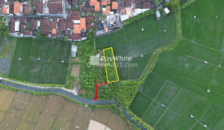 Ricefield And Beautiful Sunset View Land Plot In Seminyak, Bali 2