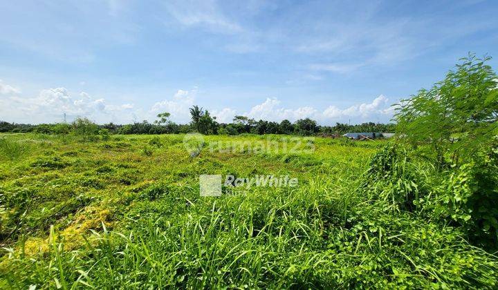 Tanah Kavling Lokasi Strategis Jalan Kaki Ke Pantai Kedungu, Bali 2