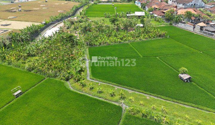 Ricefield And Beautiful Sunset View Land Plot In Seminyak, Bali 1