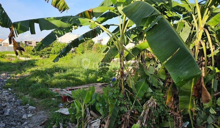 Tanah Langka Hak Milik Cocok Untuk Komersil Central Canggu, Bali 2