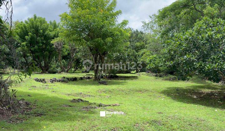 Cliffside Land With Unblocked Ocean View In Ungasan, Bali 2