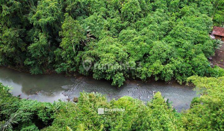 Tanah Kawasan Villa View Sawah Dan Sungai di Ubud, Gianyar, Bali 2