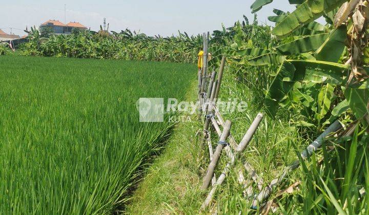 Ricefield and Beautiful Sunset View Land Plot in Seminyak, Bali 1