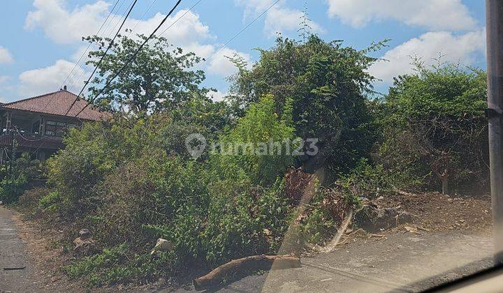 Tanah Hak Milik Lokasi di Jalan Lalang Temu - Jimbaran, Bali 2