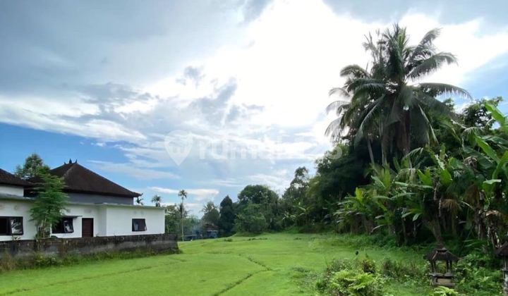 Tanah 35 Are di Salamadeg, Tabanan Dijual Tanah 35 Are di Salamadeg, Tabanan Dijual