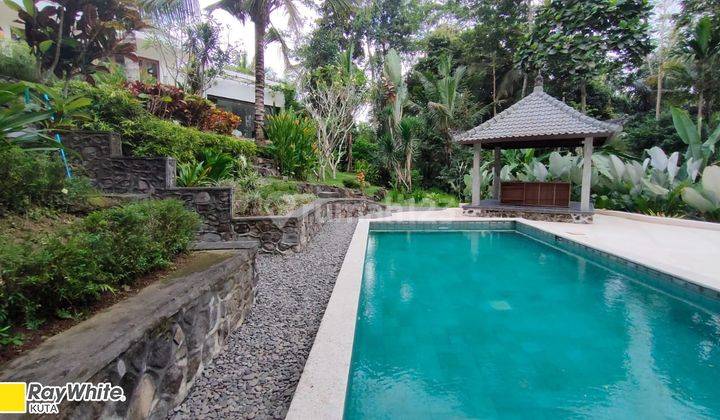 Freehold Big Land Villa, River And Rice Fields View At Ubud, Bali 1