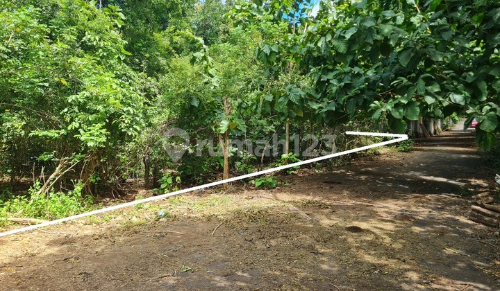 LAND FOR SALE 50 ARE IN PECATU