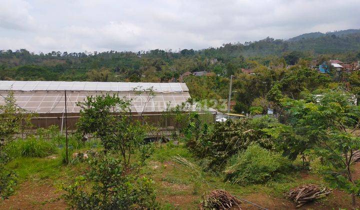 Dijual Green House, Rumah Dan Tanah Di Sumberbenda Malang Tanah 1