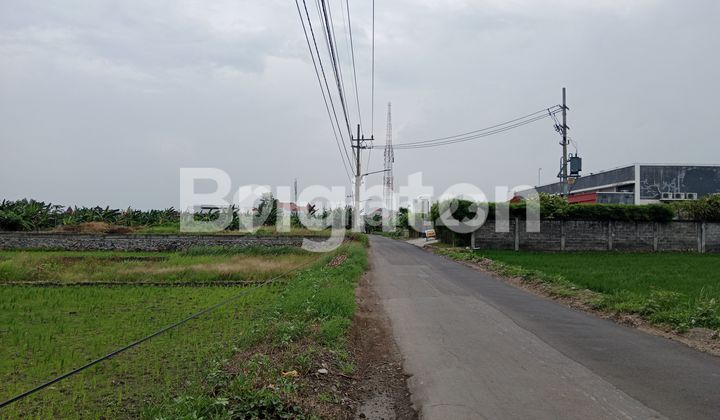 LAHAN KOSONG DEKAT NORTHWEST CITRALAND 1