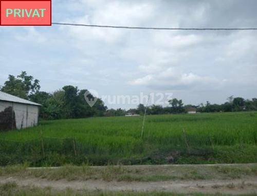 Tanah Siap Jual Dan Asri di Ngawi Jawa Timur A0905 2