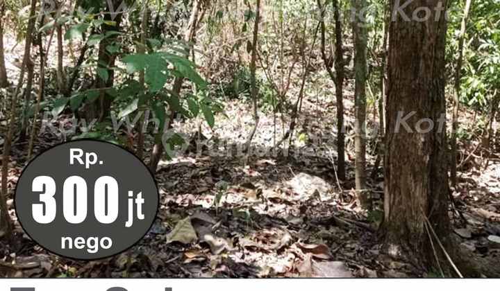 Tanah Murah Siap Bangun Di Gunung Pati A4781 2