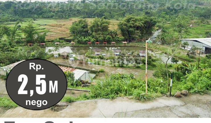 Tempat Usaha Luas Strategis di Mijen A5270 2