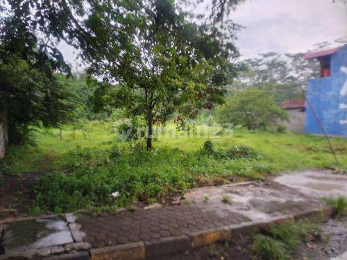 Tanah Bagus Strategis Di Kandeman Batang A3616 1