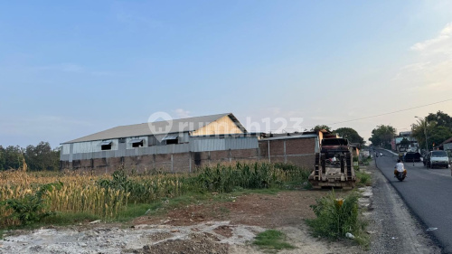 Cheap Land by the Main Road in Mlonggo, Jepara A5181