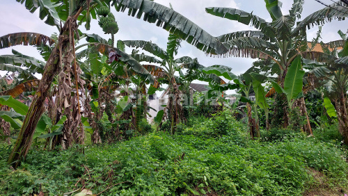 Tanah Siap Bangun Strategis di Gajah Mungkur A5353 Tanah Siap Bangun Strategis di Gajah Mungkur A5353