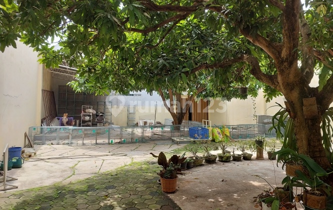 Gudang Ruko Rumah Bagus Di Gajah Semarang Timur 9