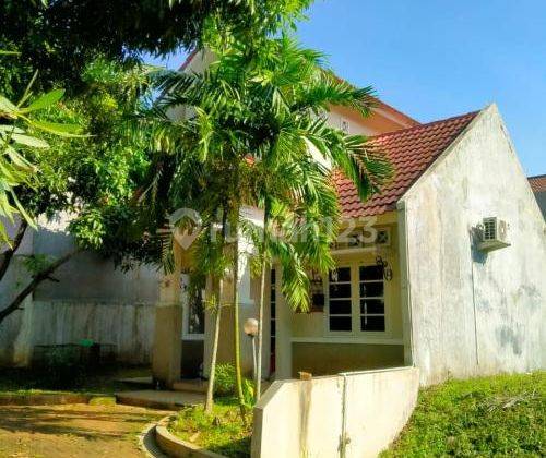 Rumah Bagus Dan Strategis di Ngaliyan K8451 1