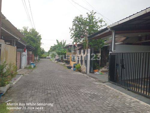 Rumah Jual Murah Dan Bagus di Mranggen A1771 2