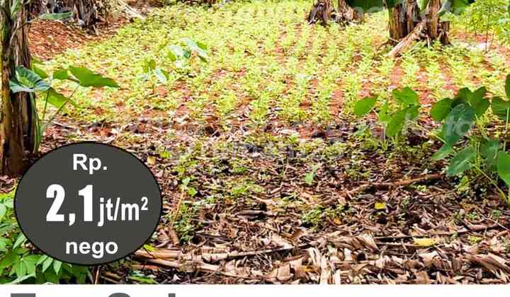 Tanah Siap Bangun Murah di Gunung Pati A5190 2