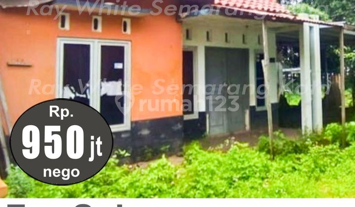 Affordable Ready-to-Live Good House in Mijen A4740 2