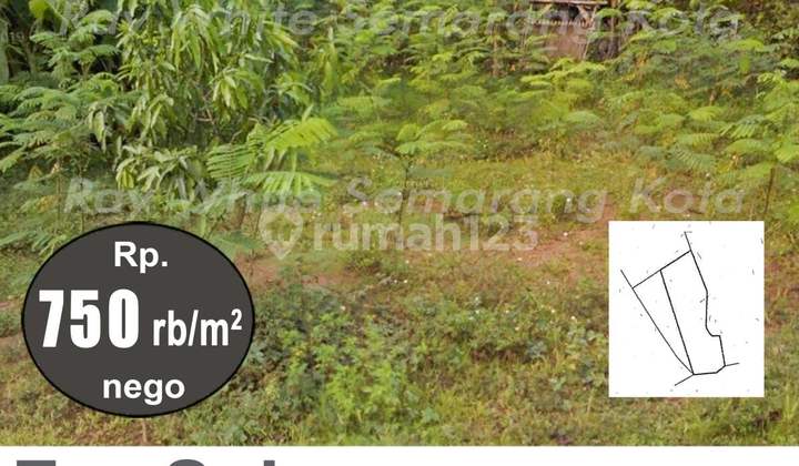 Tanah Luas Siap Bangun Strategis di Ungaran Barat A5401 2