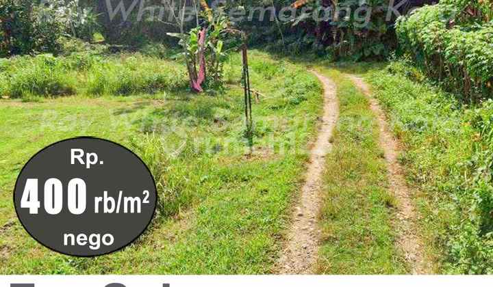 Tanah Murah Luas Siap Bangun di Gunung Pati A5516 2