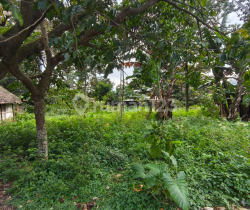 Tanah Siap Bangun Murah di Ungaran Timur A5336 1